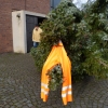Baum 059.JPG