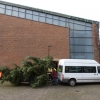 Baum 057.JPG