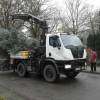 Baum 2011 033.JPG
