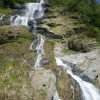C06 p1030578.jpg