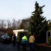 Baum 012.JPG