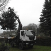 Baum 2011 024.JPG