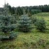 B04 SAM_0631.JPG
