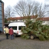Baum 056.JPG