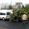 Baum 031.JPG