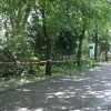 C06 Friedhof SAM_8536.JPG