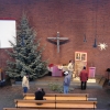 Baum 2011 067.JPG
