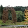 B02 SAM_0602.JPG