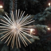 Y_Baum_Krippe 2011 003.jpg